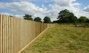 Closeboard Fencing outside view